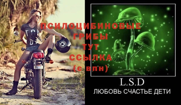 ECSTASY Абинск