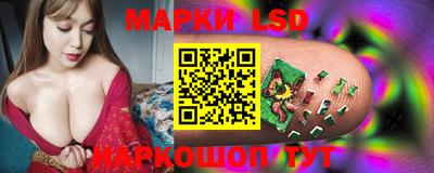 шишки Краснознаменск
