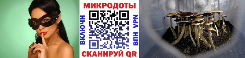 дарнет шоп  Дятьково  Галлюциногенные грибы Magic Shrooms 