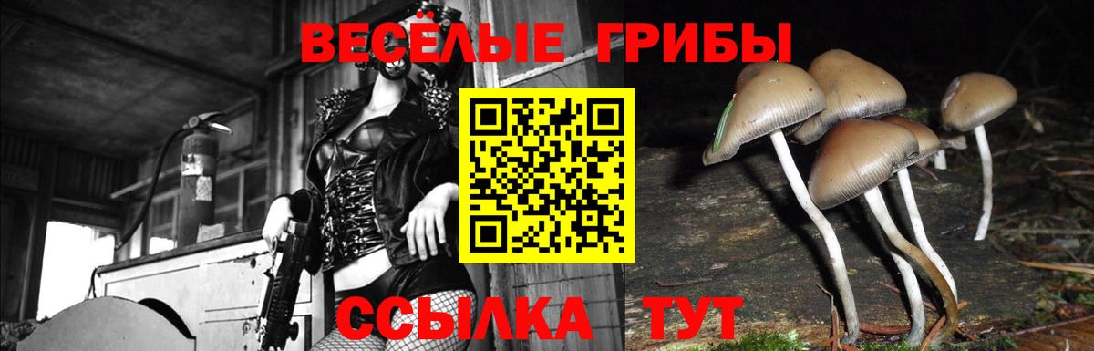 Дятьково  Галлюциногенные грибы Cubensis  закладка  Вход с VPN 